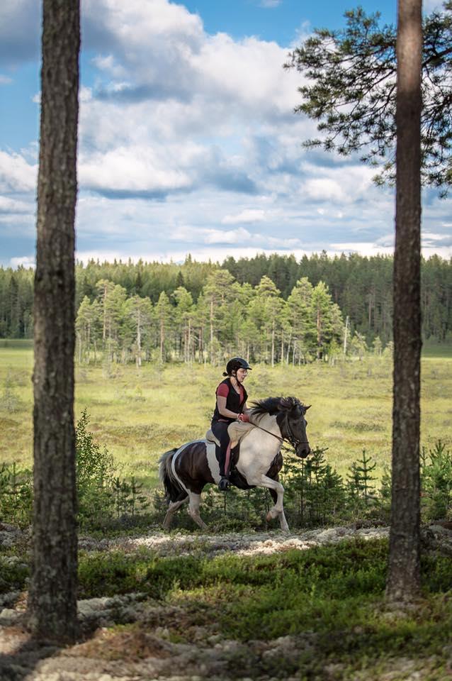 Luontolähtöinen hyvinvointitoiminta Kotitila 30 ha peltoa ja metsämaata Kasvimaa ja kasvihuone Kanala Koira ja kolme