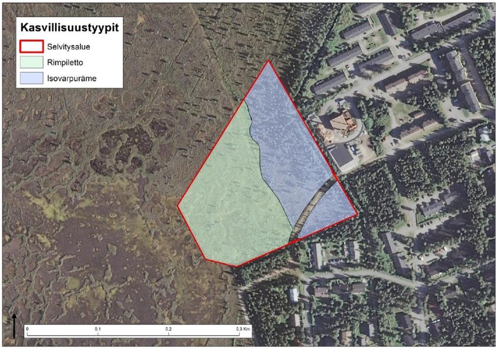 5 Suunnittelualueella ei esiinny luonnonsuojelulain 29 :n suojeltuja luontotyyppejä eikä vesilain 11 :n vesiluontotyyppejä tai metsälain tärkeitä elinympäristöjä (Kittilän