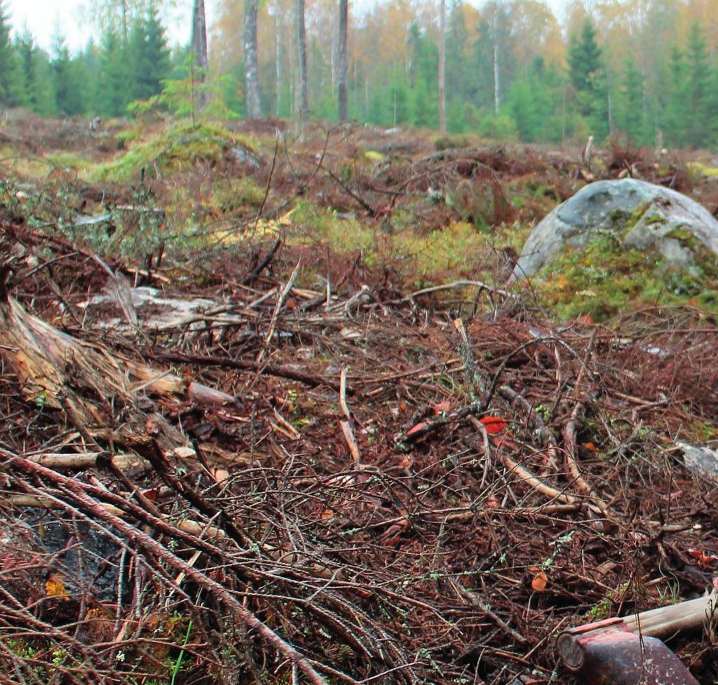 FSC-puu käy kaupaksi FSC-sertifioitujen materiaalien kysyntä on ollut selvässä kasvussa maailmanlaajuisilla markkinoilla.