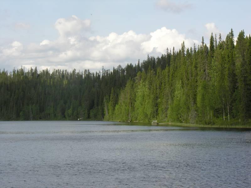 5 3.2 Vesistöt Porontiman pinta-ala on 305,6 ha (ks. kuva 3). Järven suurin syvyys on 41,6 m, joten se on yksi Suomen syvimmistä järvistä. Pitkälahdeltakin löytyy yli 30 m syvyyksiä.