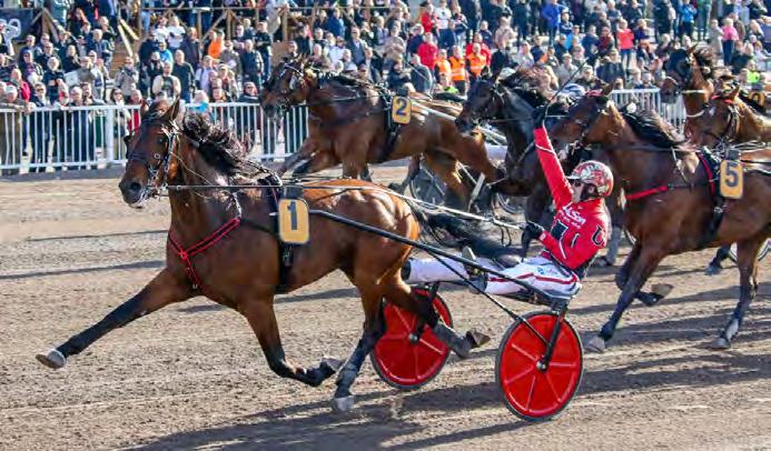 Urheilugaalassa Vuoden raviurheilijana 2017 palkittiin Jorma Kontio. Suomalaisen Timo Nurmoksen valmentama ori Readly Express voitti Prix d Amériquen Pariisin Vincennesissä.