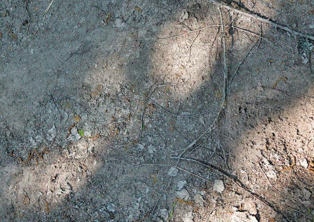 2.5 Henkilöstöä koskevat liitetiedot Keskimääräinen henkilöstömäärä Palkat ja palkkiot Eläkekulut Muut henkilösivukulut Henkilöstökulut yhteensä 2.
