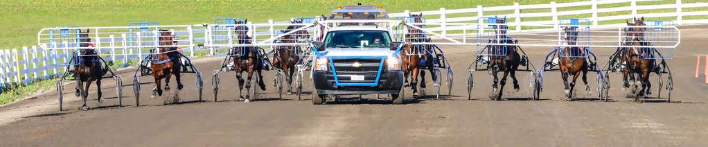 General Statistics Meetings 544 Horses 6 994 Drivers 1 639 Trainers 2 592 Prize money 22,9 M Audience 630 000 FASTEST TROTTERS Ranch Kelly (Tsar d Inverne) 09,7a Lexus Dream (Lexus Font) 10,0a Shadow