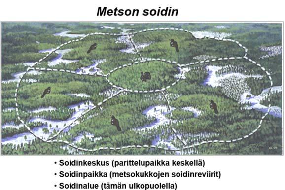 soidinpaikan metsäisyys-prosentti soidinalueen metsäisyys-prosentti hakkuuaukon koko soidinpaikalla Vuoden 2017 hakkuiden osalta tarkastettiin yhteensä 23