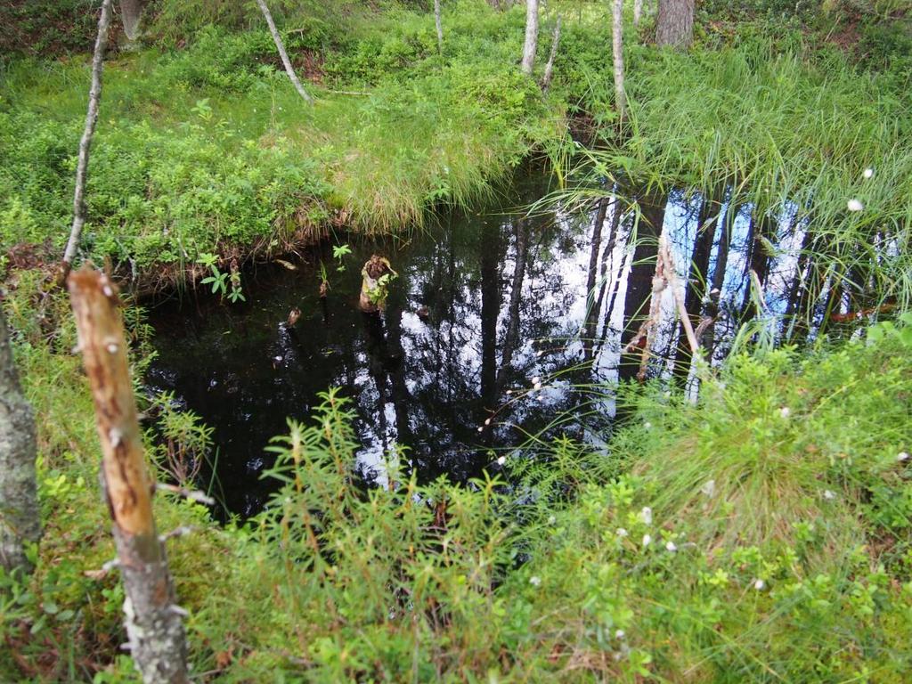 42 Kuva 11: Suorakaiteen muotoinen kuoppa luhtakohteella, Keskijärvi.