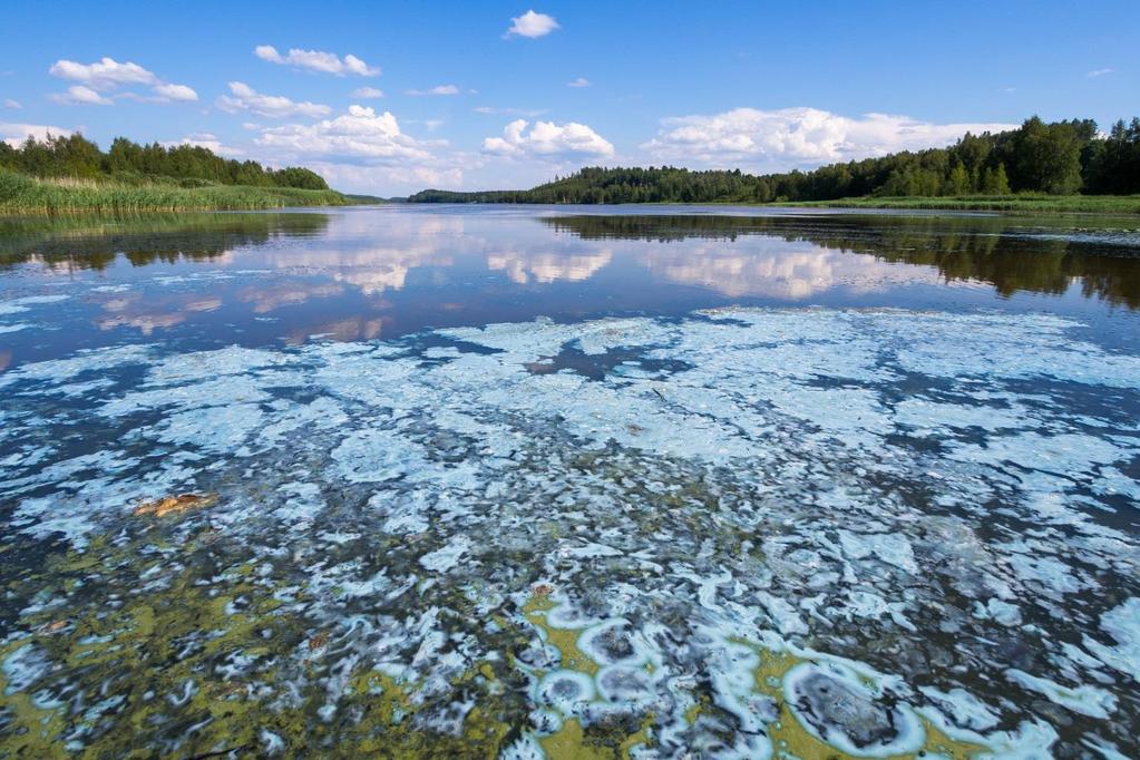 Nuutajärvi Yhteenveto järven tilasta 2018 Nuuta-,