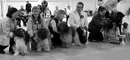 Kennel Lumikuono Mari Jänisniemi-Honkala, Linnaistentie 33A, 15150 Lahti p. & fax +358-(0)3-777 7172, +358-(0) 40-962 9712 Email: mari.janisniemi@lumikuono.