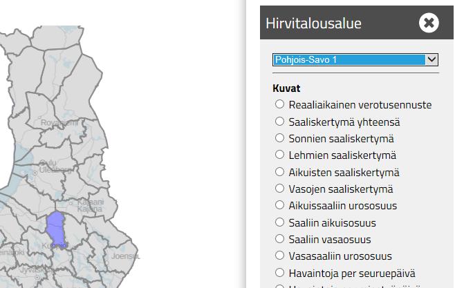 -> 6. Reaaliaikainen