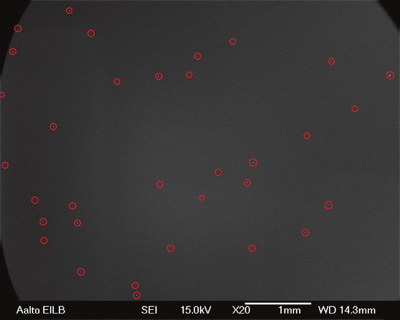 51 (a) Sample 1, particle density 1.21 mm 2 (b) Sample 2, particle density 0.