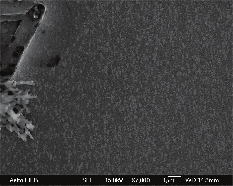 52 Figure 27: Surface of the AlN film near one of the particles. (a) Sample 1.