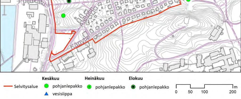 Lepakoiden havaintopaikat. Kuva 4.