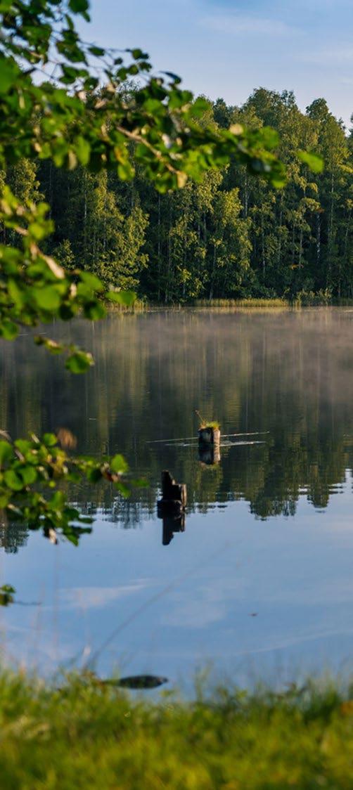 Toimenpiteet KMS:ssa Metsäalan vuorovaikutus ja viestintä hanke Osaaminen ja koulutus -hanke Rakennetaan moniarvoisen viestinnän ja vuorovaikutuksen avulla luottamusta ja yhteistyötä eri