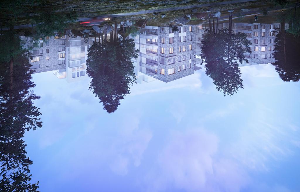 KIIKANGAS