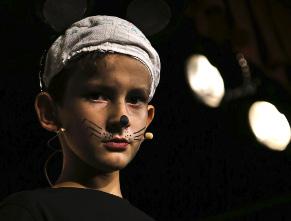 15.1 Varhaisiän teatterikasvatus ESIINTYMISTAIDOT puhe äänenkäyttö fyysinen ilmaisu vuorovaikutus ja läsnäolo RYHMÄTYÖTAIDOT vuorovaikutustaidot palautteen antaminen ja saaminen reflektointi