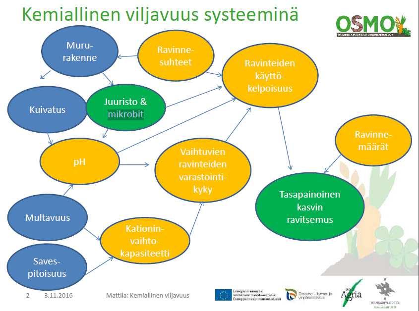 Tulkinta? Miten tästä päästään toimenpiteisiin? Kationinvaihtokyky (KVK) = paljonko ravinteita mahtuu peltoon?