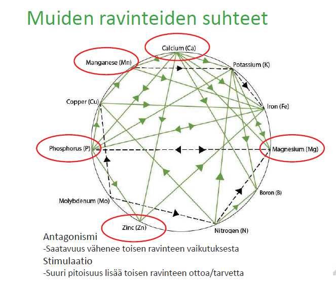 Lannoitatko maata vai kasveja?
