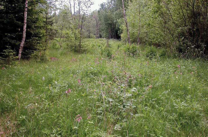 Pohjanmaa Sa Satakunta Oa Keski- Pohjanmaa Om Etelä- Pohjanmaa Ta Pirkanmaa Pohjois- Pohjanmaa Tb Keski- Suomi KUVA 1.