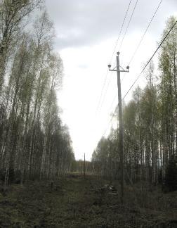 Metsien kaukokartoitustutkimus Hyytiälässä - LiDAR Two overlapping 500-m altitude