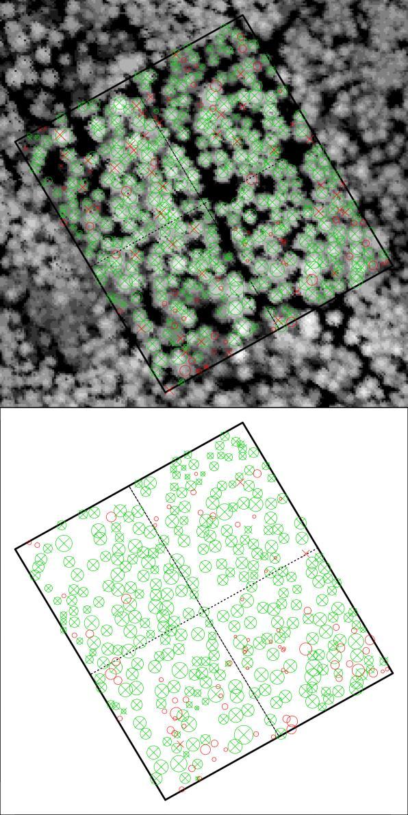 5. Yksinpuinmittaus LiDAR