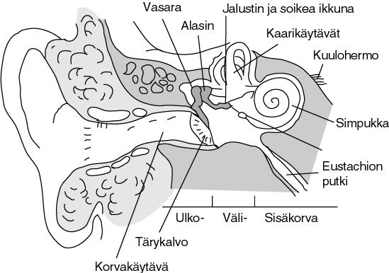 Korvan