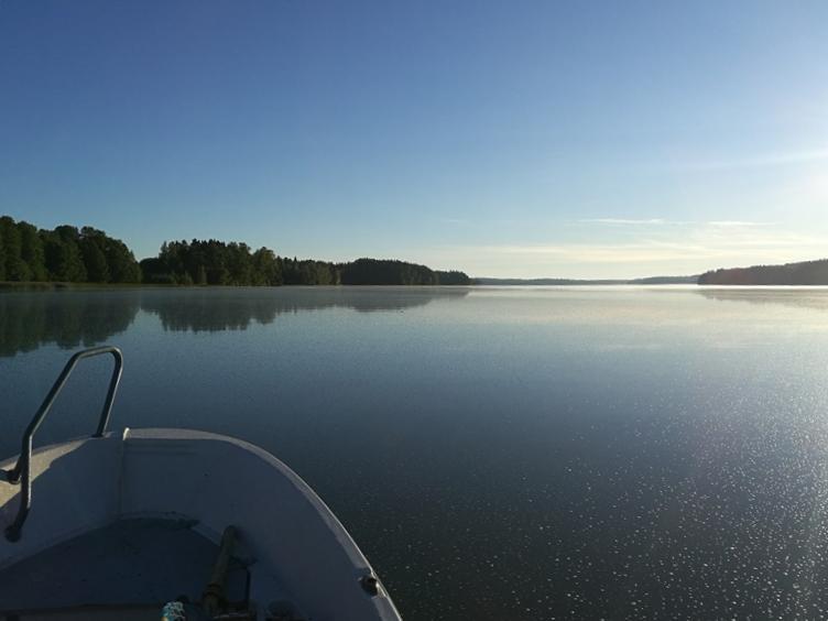 kalakuolemienkin syntyyn vaikuttivat todennäköisimmin samat tekijät.