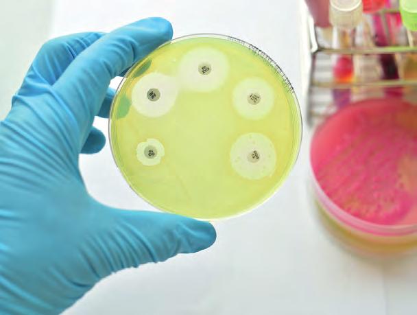 Antibioottiresistenssin leviäminen Bakteeriyhteisössä, joka voi sijaita esimerkiksi antibioottikuurin saavan eläimen suolistossa, on tavallisesti sekä antibiootille täysin herkkiä että resistenttejä