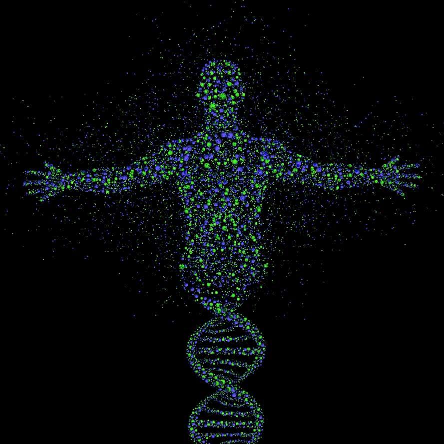 Reading noncoding DNA would