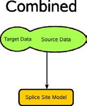 Domain Adaptation Methods Idea: Train on union of source and target Set trade-off via loss-term Formula: min w,b,ξ 1 2 wt w + C S n ξ i + C T