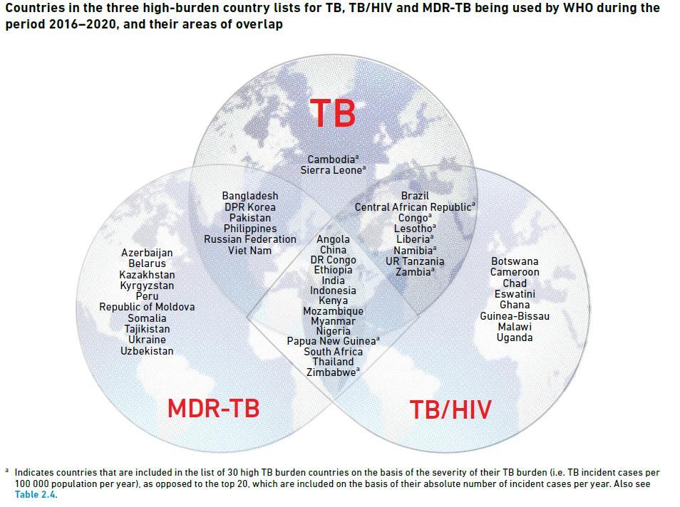 WHO on listannut erityiseen tarkkailuun maita kolmessa eri kategoriassa: maassa on paljon tuberkuloosia, maassa on paljon tuberkuloosiin sairastuneita hiv-potilaita tai maassa on paljon lääkkeille