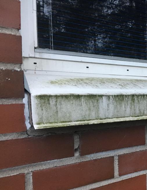 1.10 Ikkunat, karmit, puitteet, lasituslistat, vesipellit - Ikkunat ovat alkuperäisiä, 3-lasisia MSE-ikkunoita.