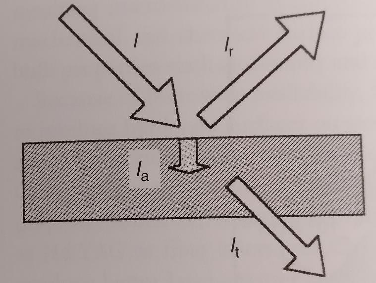 47 5.1.