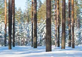 32 LIIKEVAIHTO miljoonaa euroa TOIMIPISTETTÄ 5 EUROOPASSA SCANPOLE 85 AMMATTILAISTA 9.