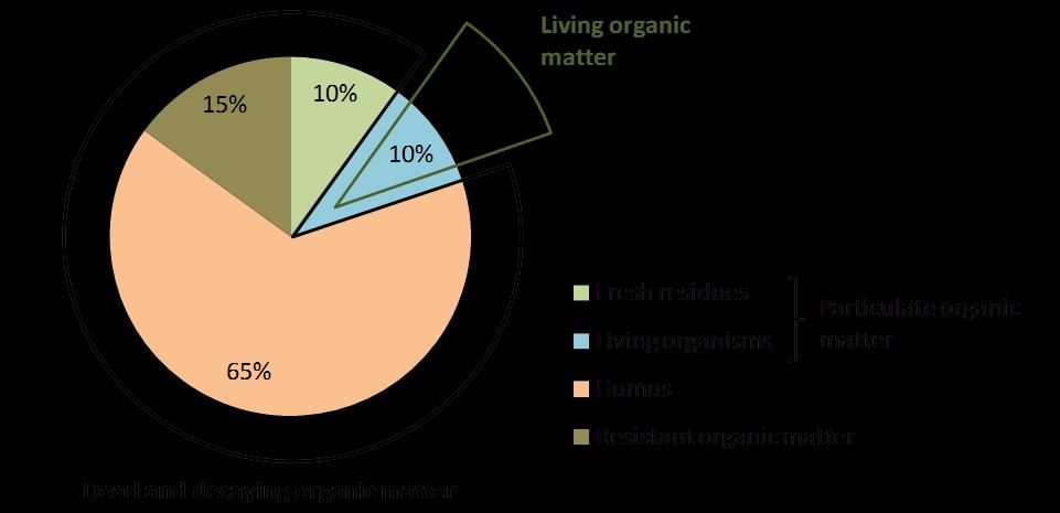 Kuollut ja elävä orgaaninen aines Elävä orgaaninen aines Kasvintähteet Mikrobit, sienet yms.