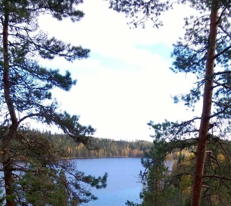 [Siellä]
