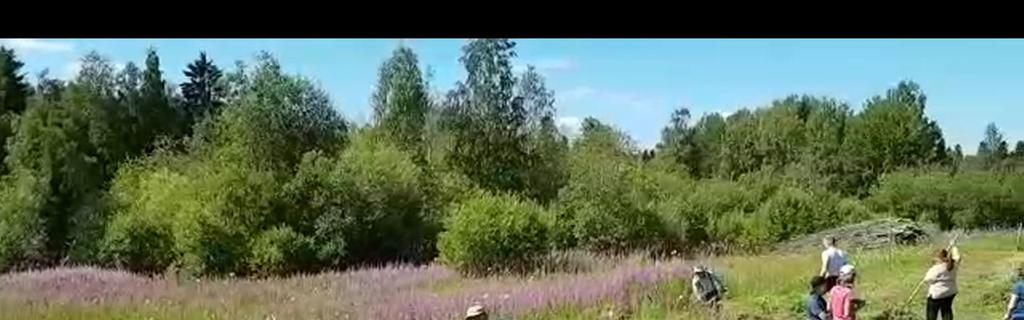 TYRNÄVÄ _