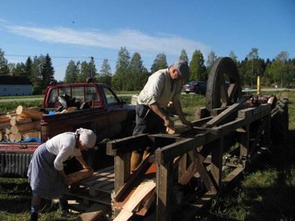 Niittyheinä ja kissankello kampanja Haapaveden Kytökylän perinnepäivässä la 8.9.