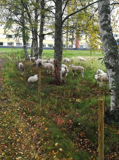 BiotalousLeader -kiertue ja Niittyheinä ja kissankello -kampanja olivat esillä Viskaalin