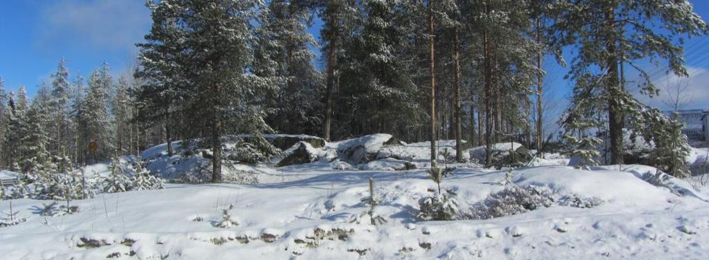 5.4.3 Vaikutukset luontoon ja luonnon monimuotoisuuteen Luonnontilaista ympäristöä kaava-alueella ei ole.