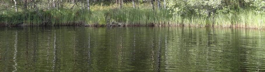 Korpipainanteeksi luokiteltu kohde esitettiin jätettäväksi rakentamisen ulkopuolelle.