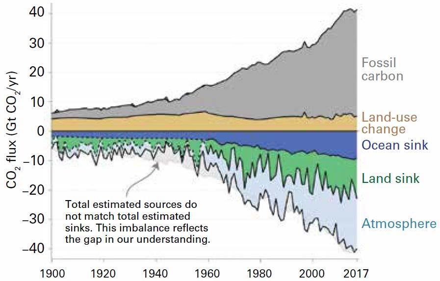 Carbon sinks and