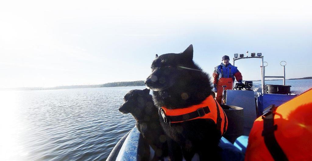 Vastarannan kiiski Miten minusta tuli kalastaja ja miten