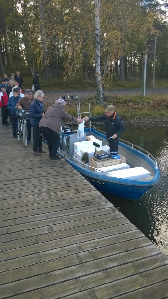 2015 ja 2016 lukuina Ahvensaalis 5000 kg per vuosi.