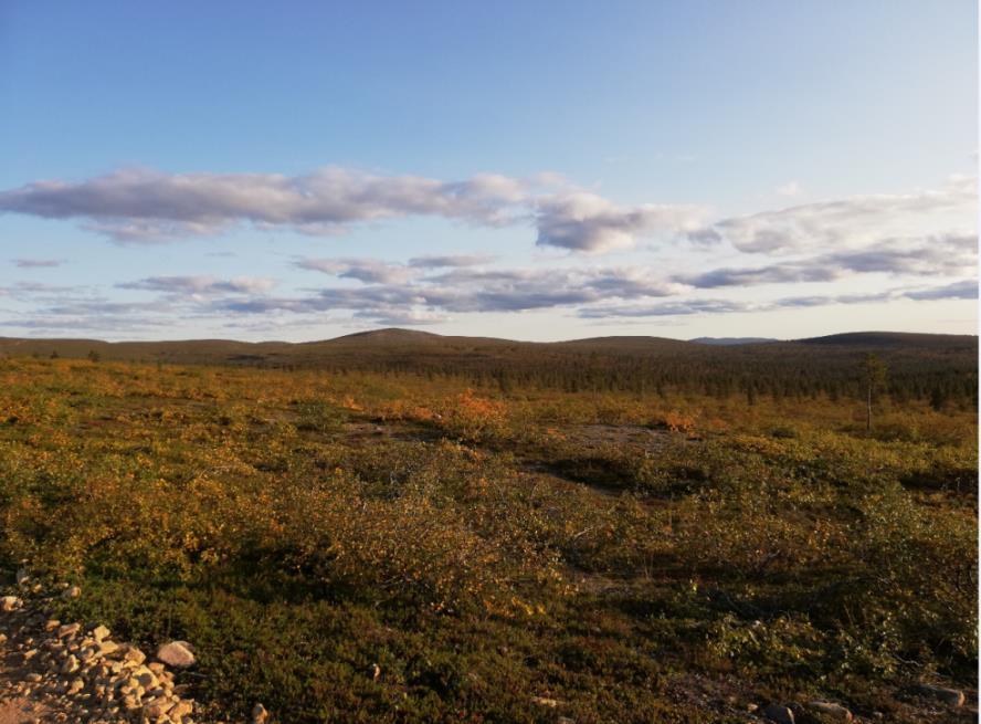 Tavoitteet Vastuullisuus Hankinnoissa otetaan aina huomioon turvallisuus, toimintavarmuus, kestävä kehitys sekä harmaan talouden ennaltaehkäisy.