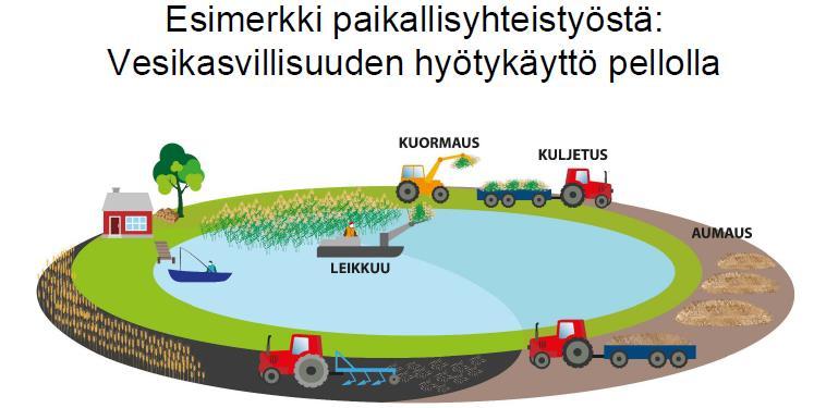 SAAVI: Hankkeen toteutus paikallisten kanssa Talkoot Talkoot oiva keino hoitaa alueita Esimerkiksi vesialueen järjestäytynyt osakaskunta tai