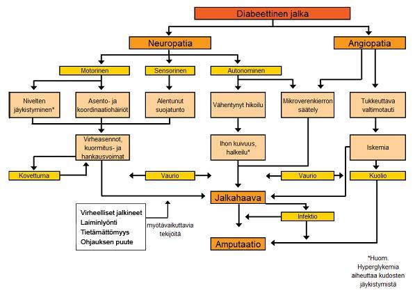 13 Kuva 1. Diabeettinen jalka (Diabeetikon jalkaongelmat 2009) Tällä hetkellä ei tiedetä tarkkaa aiheuttajaa polyneuropatialle. Vain pitkäaikainen korkea verensokeritaso on selkeä syy neuropatialle.