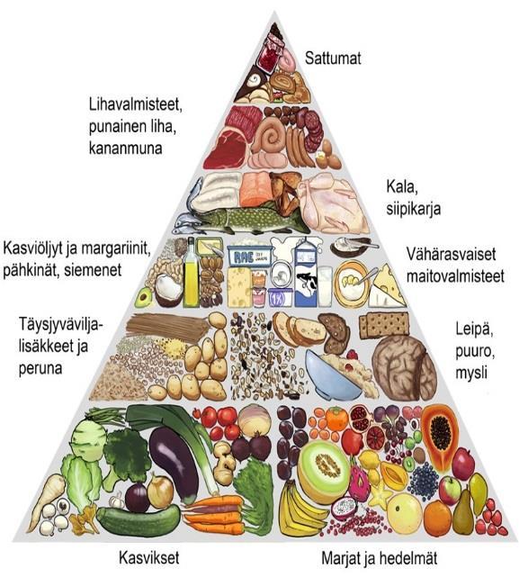 59 Ruokapyramidissa ovat alimpana ne ruoat, joista muodostuu ruokavalion perusta. Ylimpänä ruoat, joita pitäisi käyttää vähiten Ravintopyramidi. (Peda.