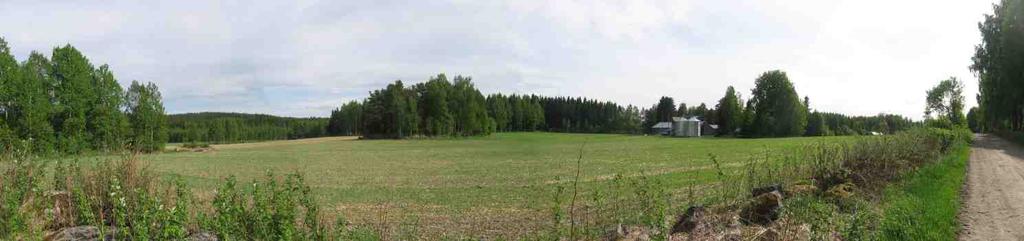 Enste on luotu muut ja lopuista on tehty Sumiainen Suolahtelainen sanonta (Valorinta 1956, s.