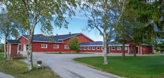 Siemennysten liharotuosuus 60 % FabaJASU ja siemennyspalvelut Mukana GenVik-projektissa Osallistun jalostusasioihin ominaisuuksista keskusteltaessa, mutta muuten jalostus on Jarin juttu, kertoo Hanna
