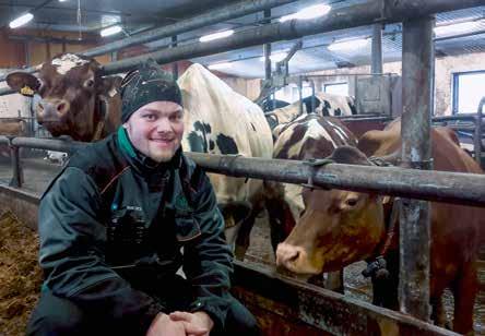 Teksti Mikko Säynäjärvi Kuvat Tiina Tahvonen ja Sanna Lohenoja Lehmät ovat kuuluneet aina Jarkon, 31, elämään. Lapsesta asti olen tehnyt navettahommia.