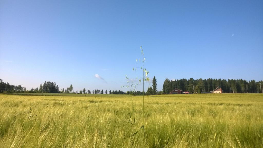 Kiitos!